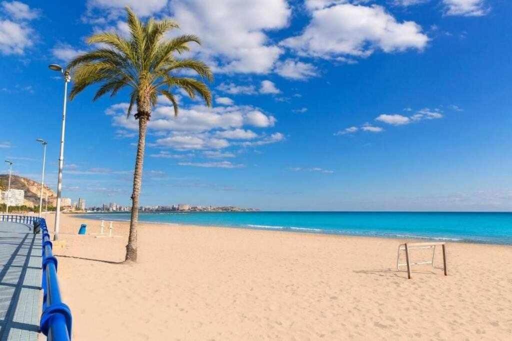 Casco Antiguo3 Minutos De La Playa Apartment Alicante Luaran gambar